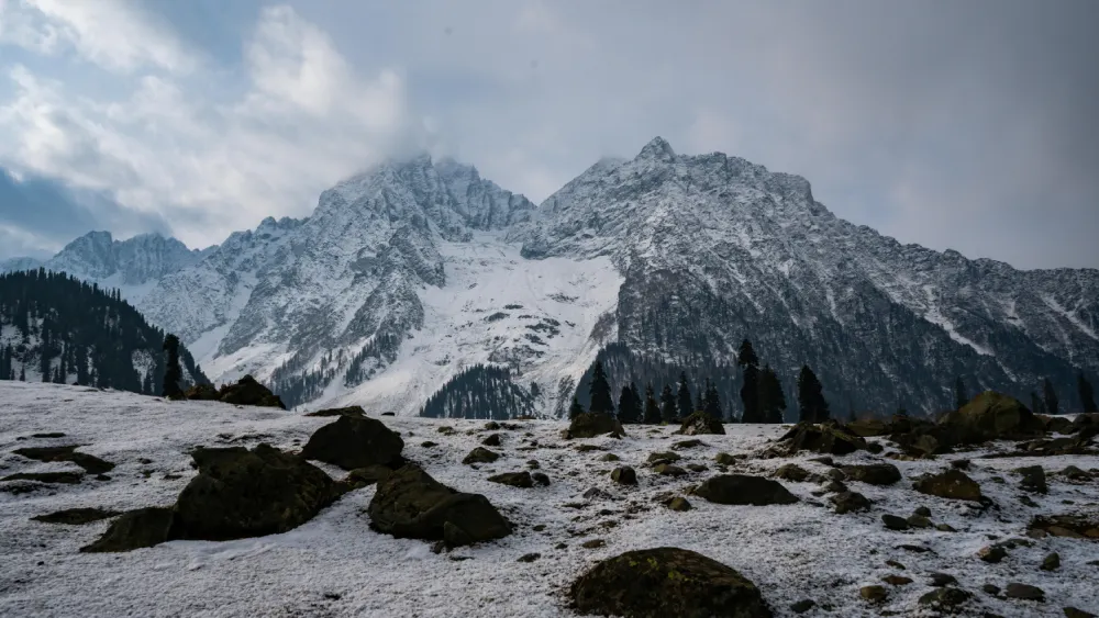 Kashmir
