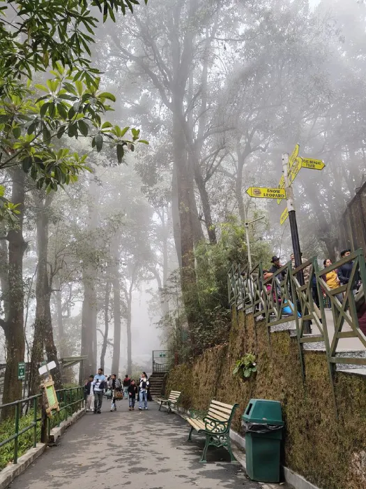 Darjeeling Trails