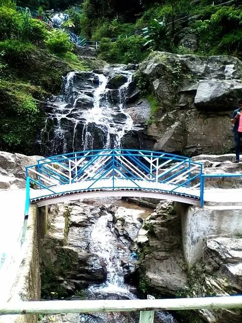 Darjeeling Drift
