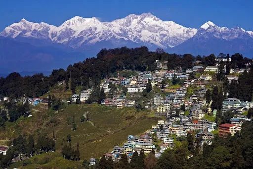 Darjeeling Drift