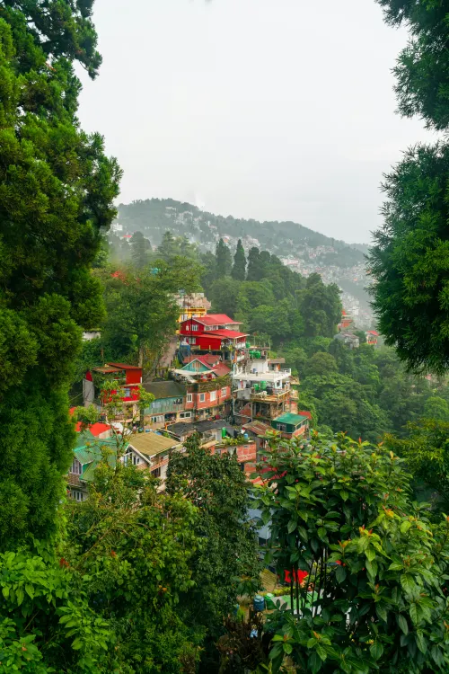Darjeeling Escape