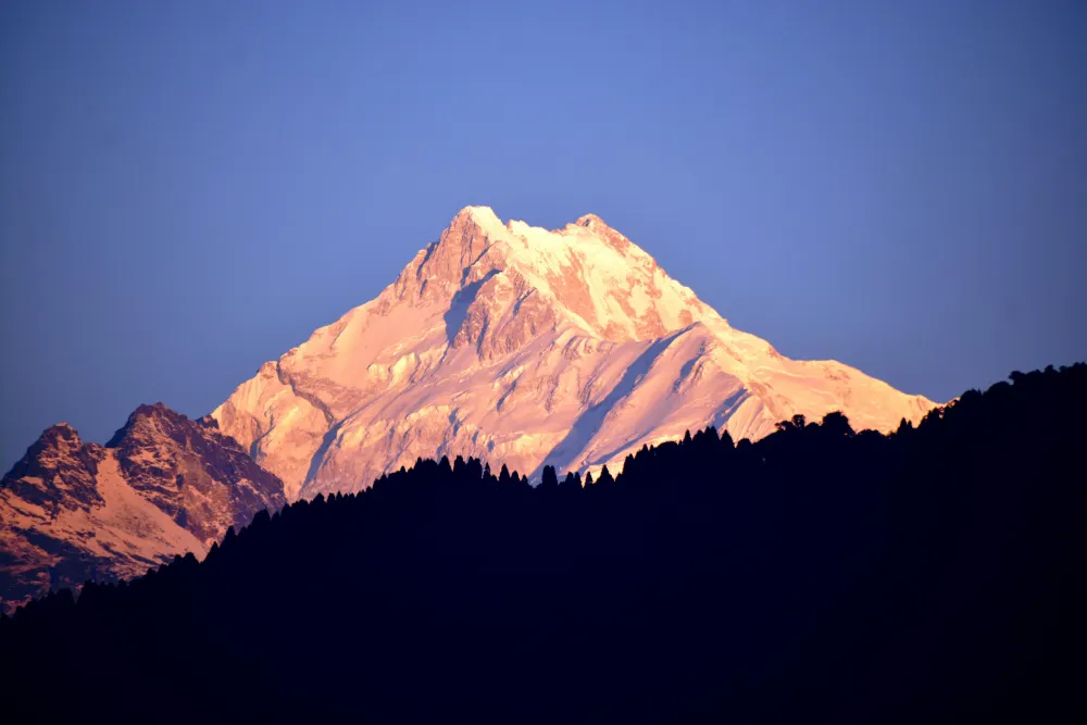 Darjeeling Breeze