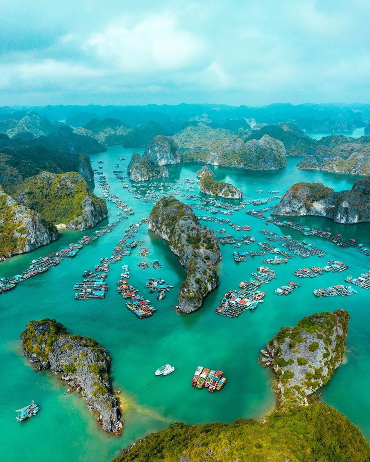 Economy Vietnam
