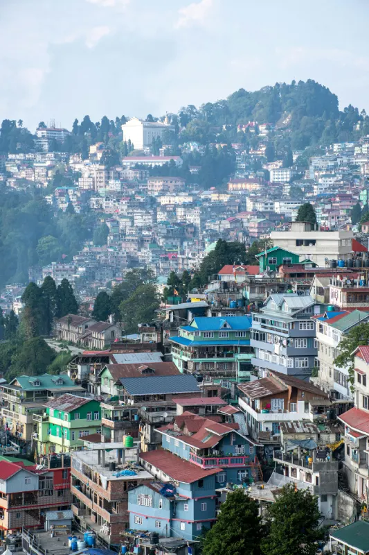 Darjeeling Serenity