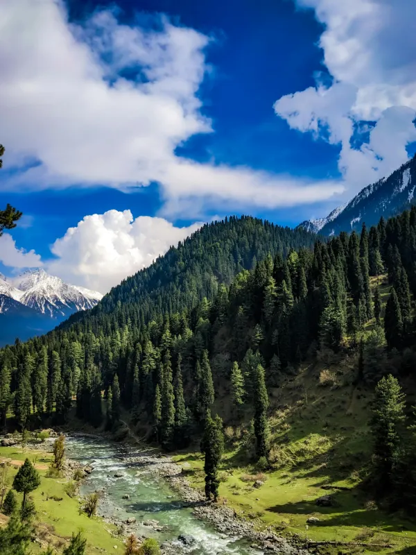 Kashmir Romance Retreat 