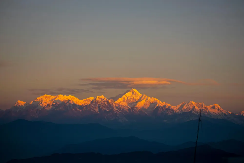 Darjeeling Trails