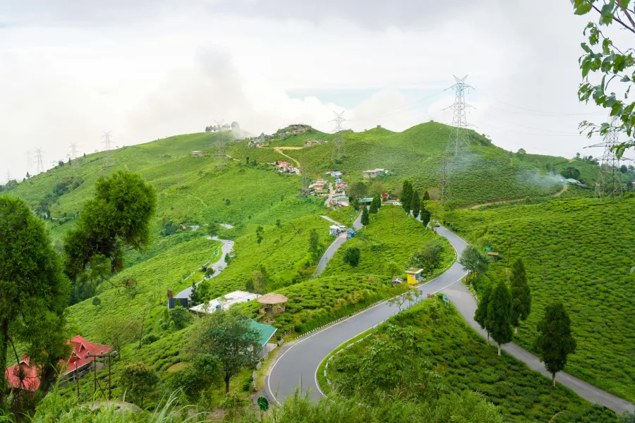 Darjeeling Trails