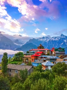 Shimla Mountain Escape   I4D 3N