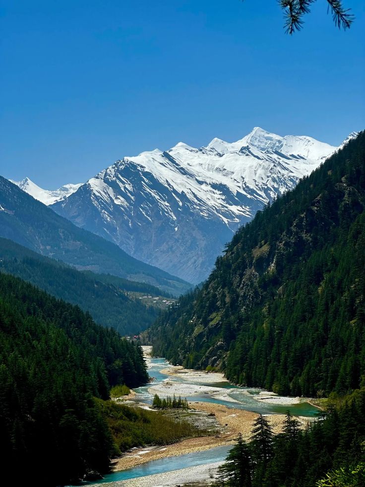 Shimla