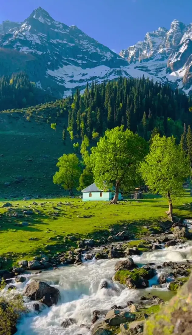 Kashmir