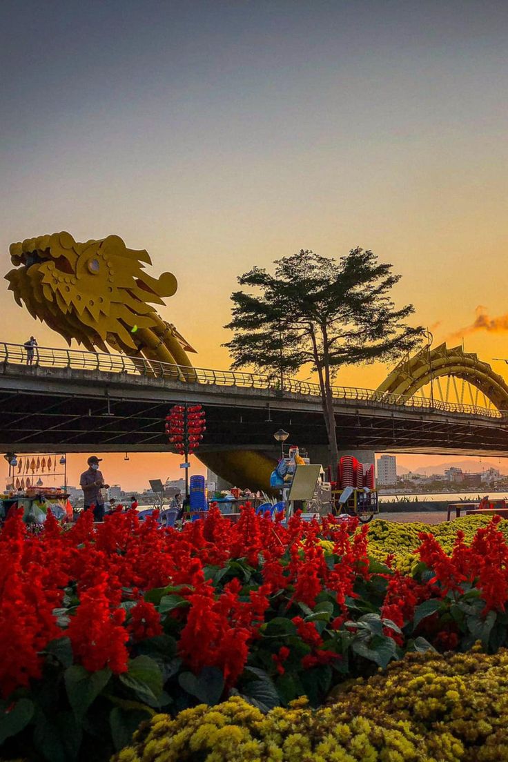 Vietnam Vacation Package