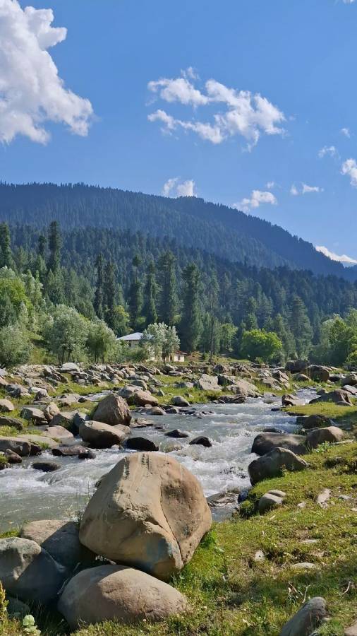 Kashmir
