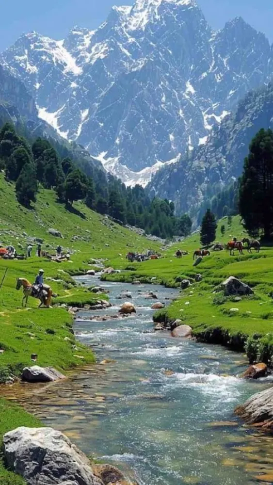Kashmir Wonders
