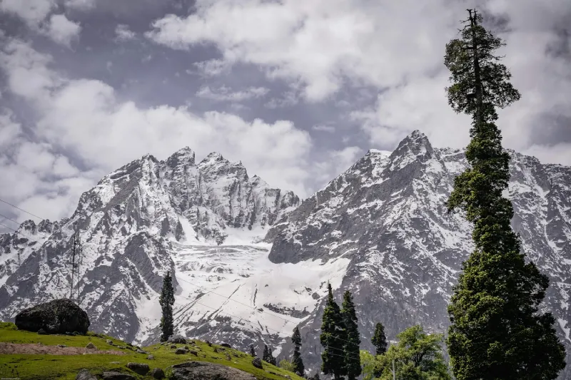 Majestic Kashmir Journey