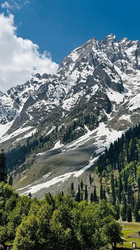 Kashmir