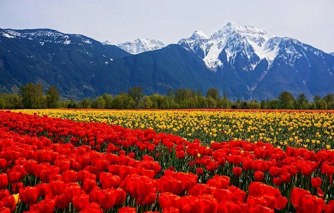 Himalayan Holidays