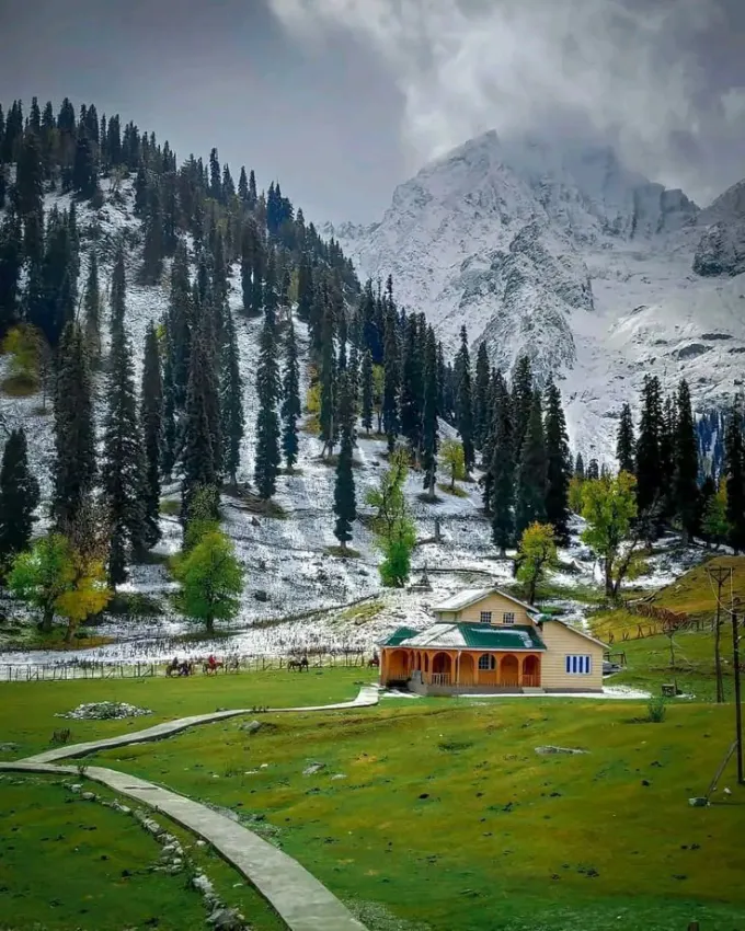Kashmir