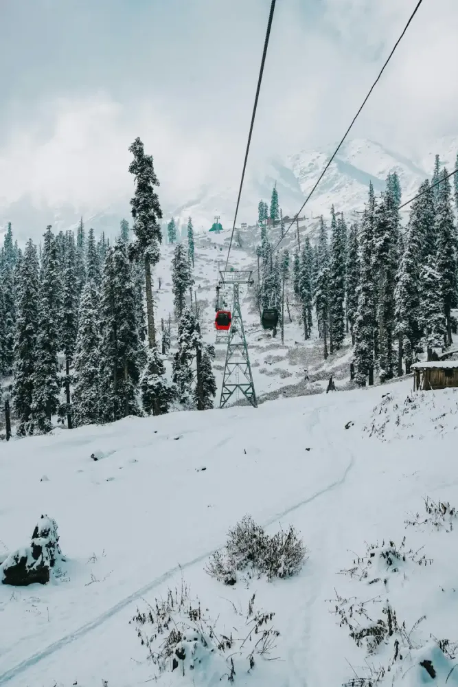 Kashmir Chronicles