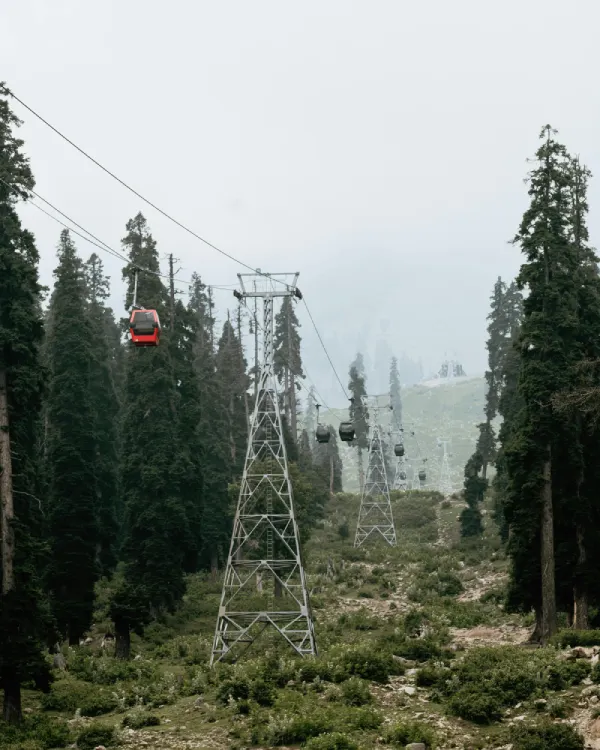 The Great Kashmir Escape