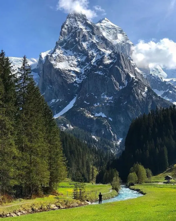 The Kashmir Trail