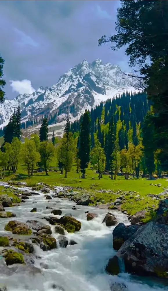 Kashmir