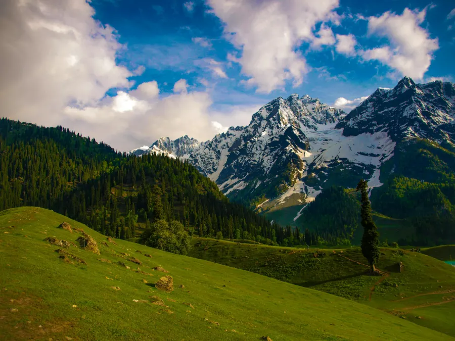 Hillscape Kashmir