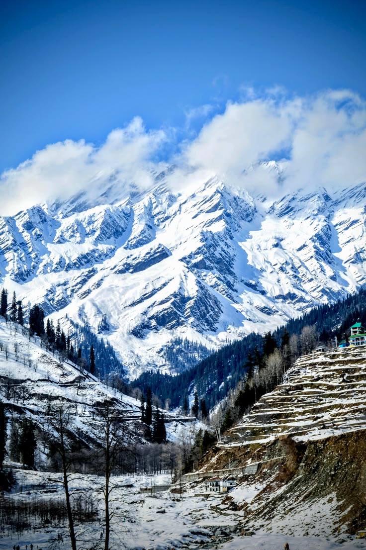 Shimla  Tour Package