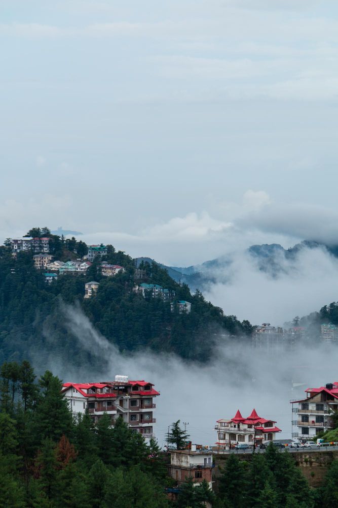 Shimla Kufri Tour Package