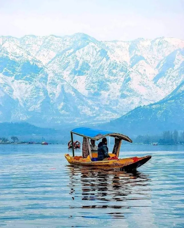 Alpine Kashmir