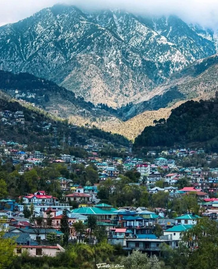 Shimla