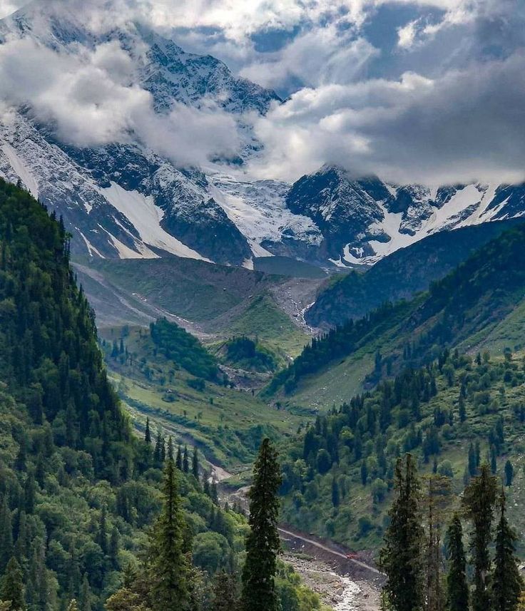 Shimla