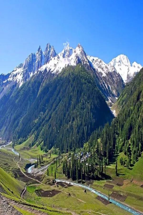 Kashmir Chronicles