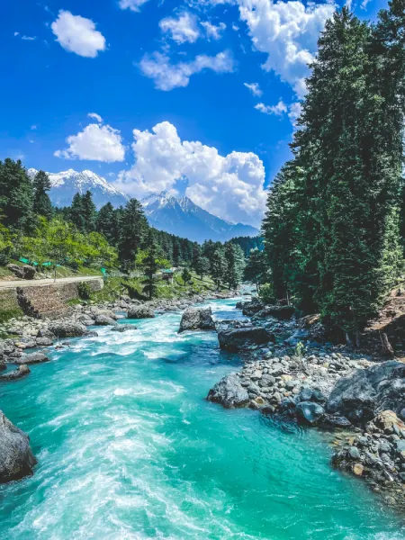 Majestic Kashmir Journey