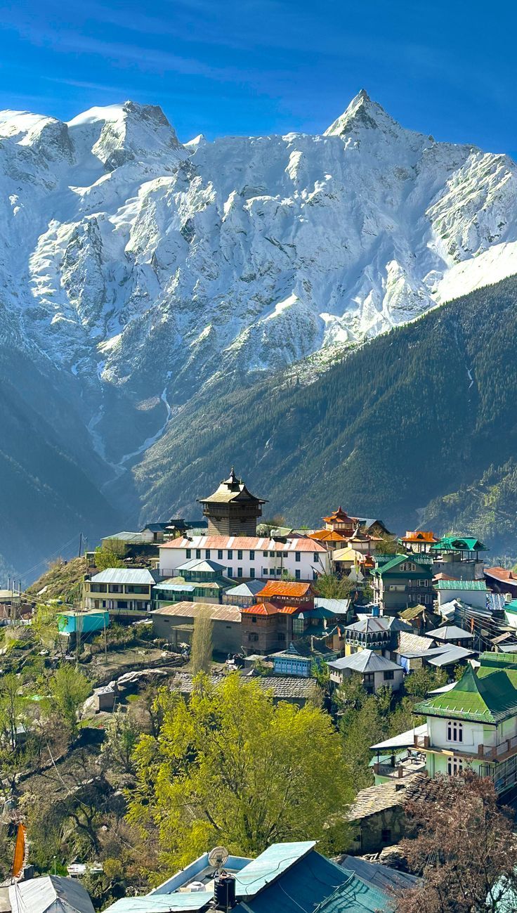 Shimla Couple Getaway Package