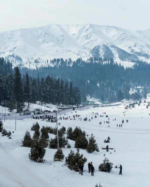 Kashmir Chronicles