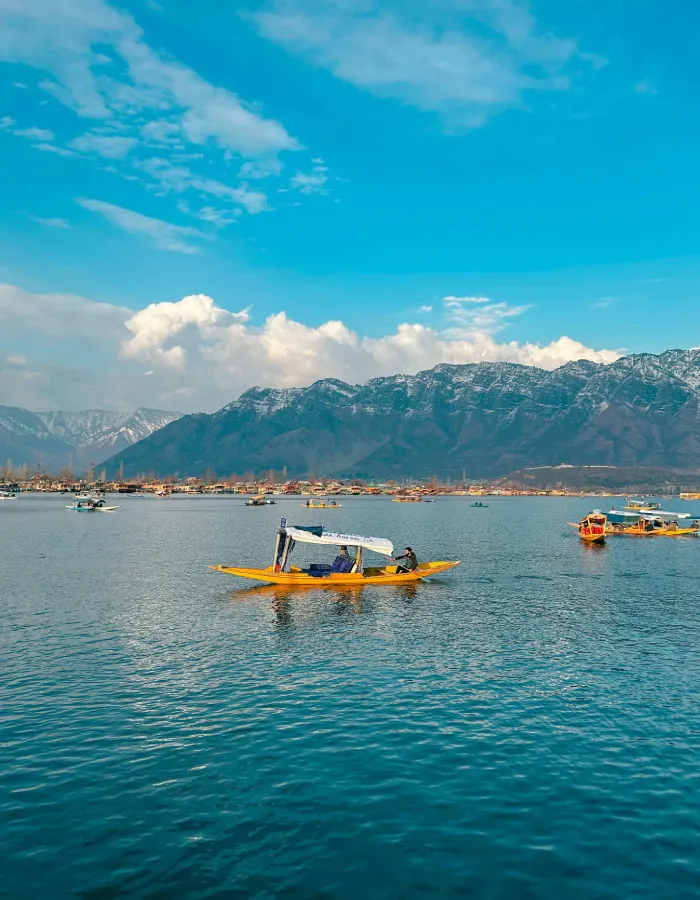 Luxe Valley Retreat