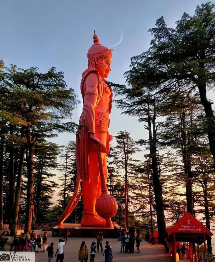 Shimla  Deluxe Couple Getaway I 5D 4N
