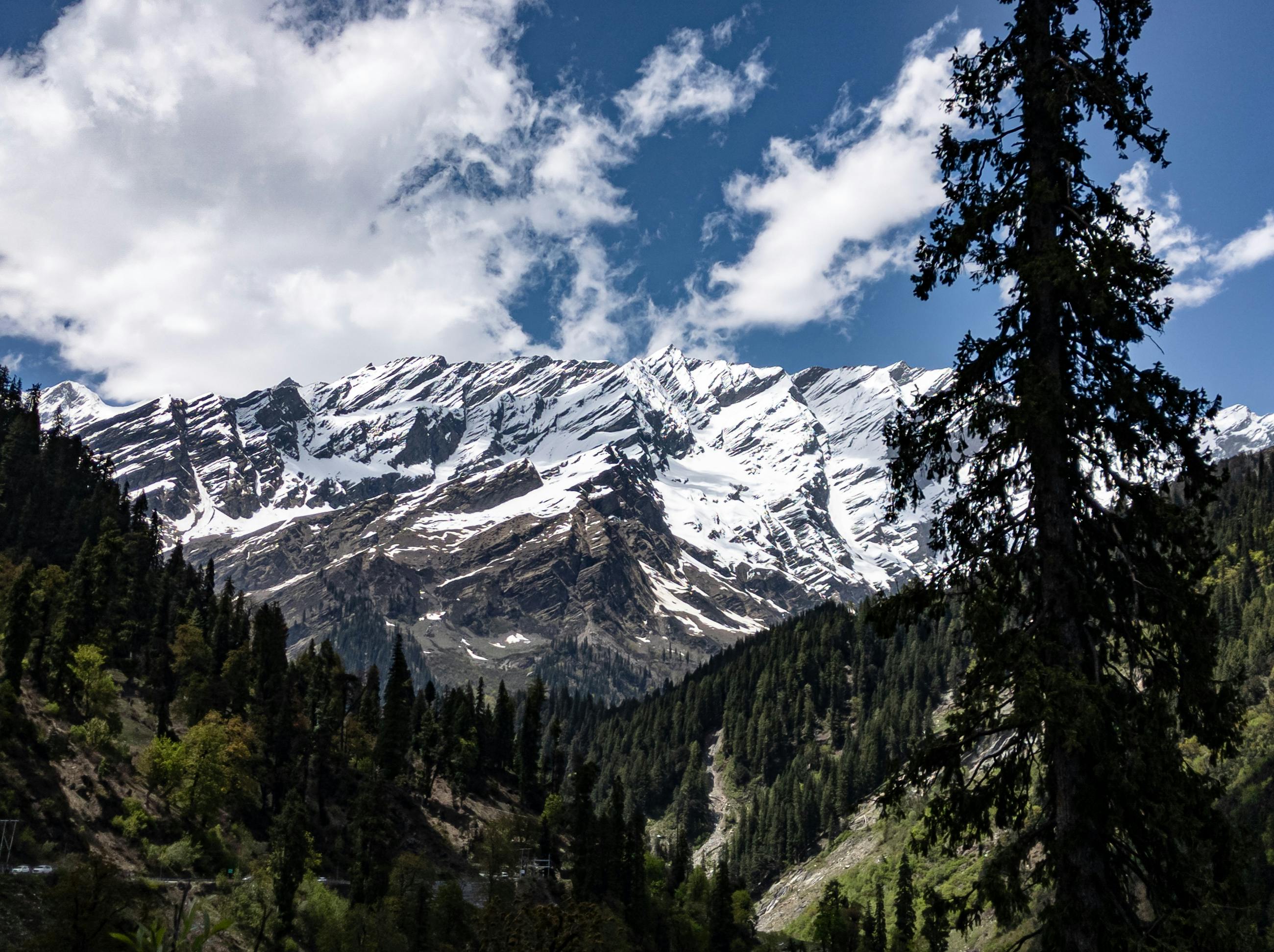 Kashmir