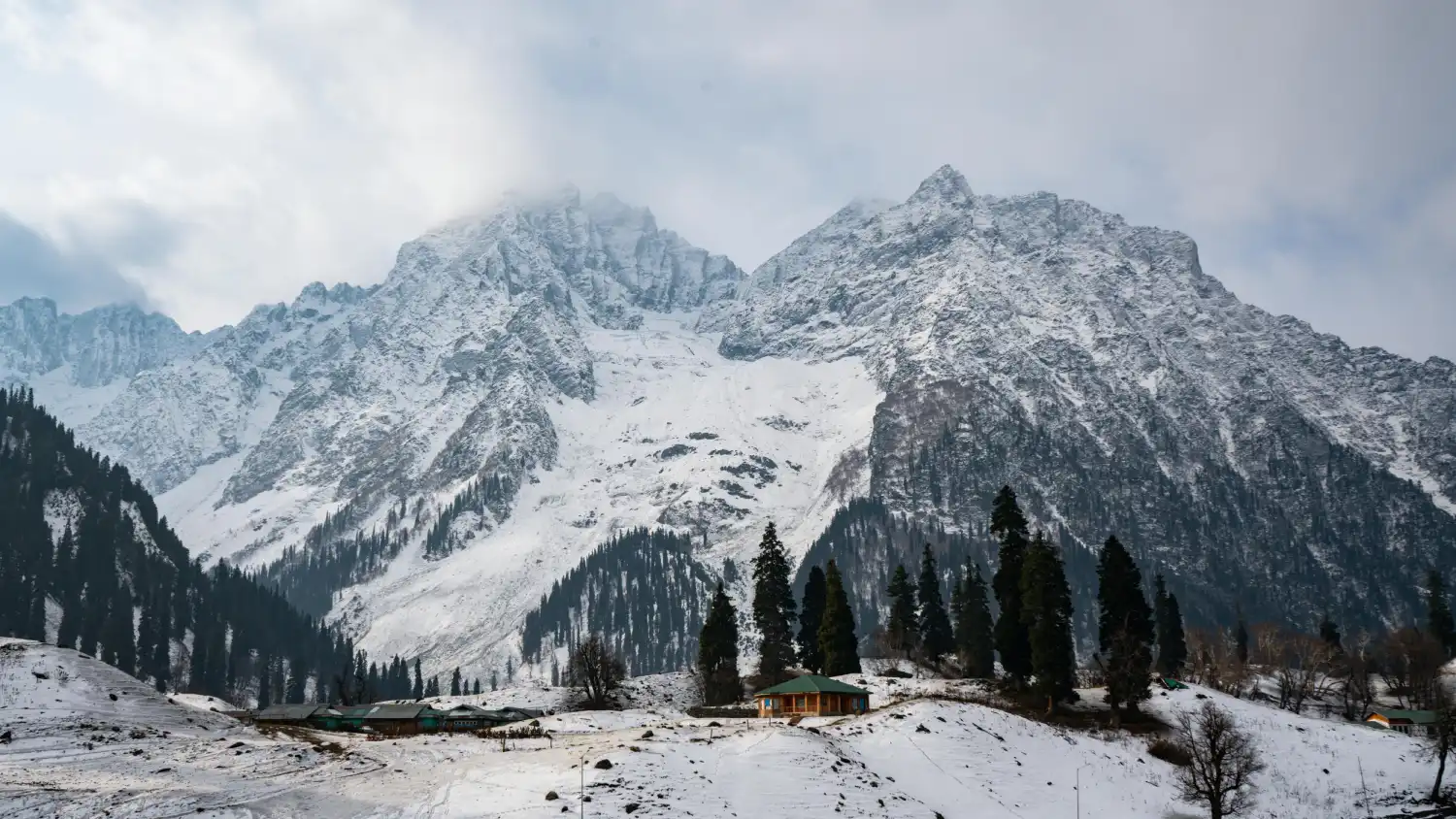 Snow-covered mountains and trees in Kashmir during winter season with scenic white landscapes.