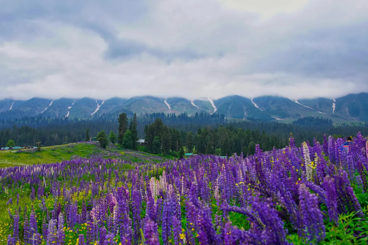 Kashmir  Retreat