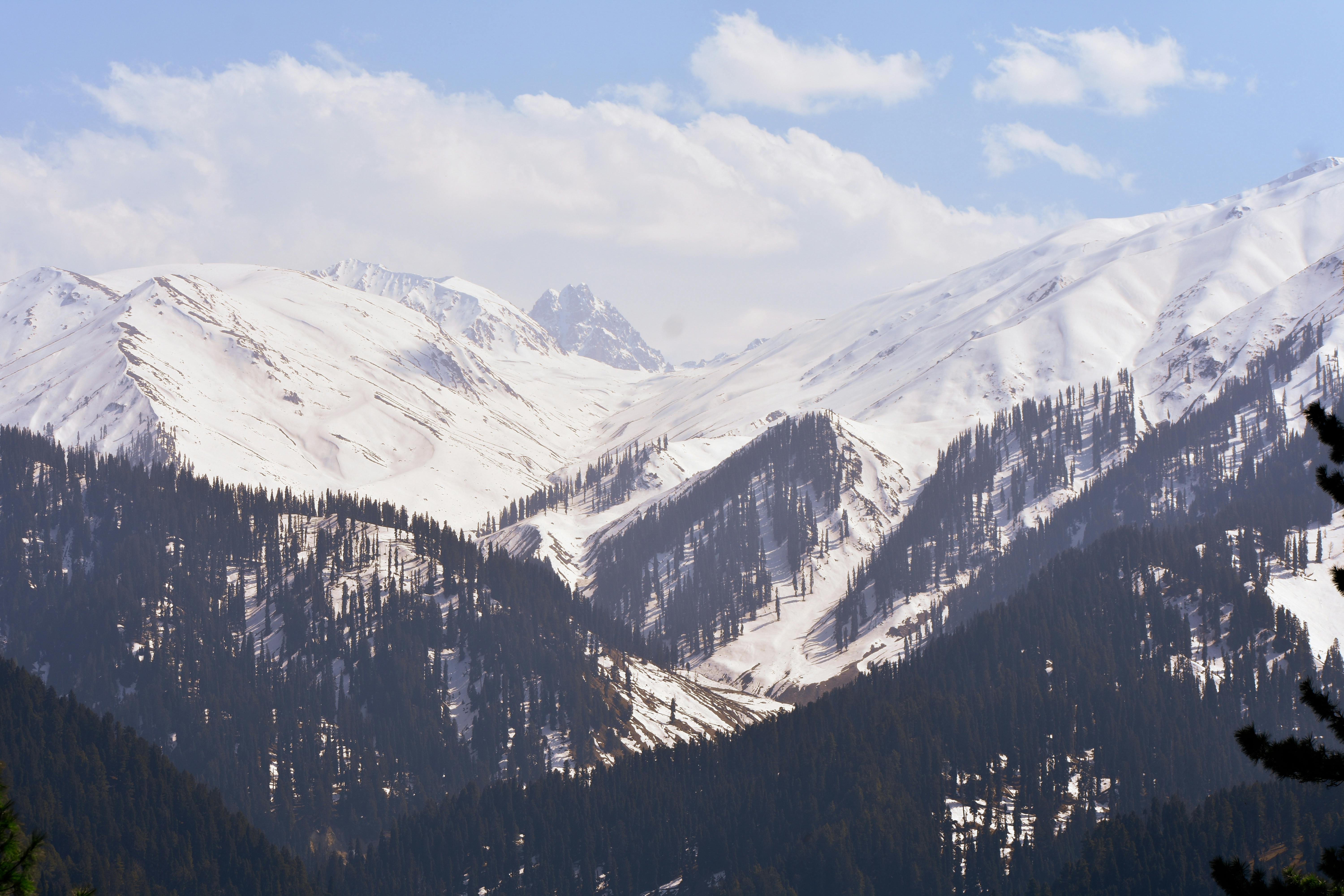 Kashmir